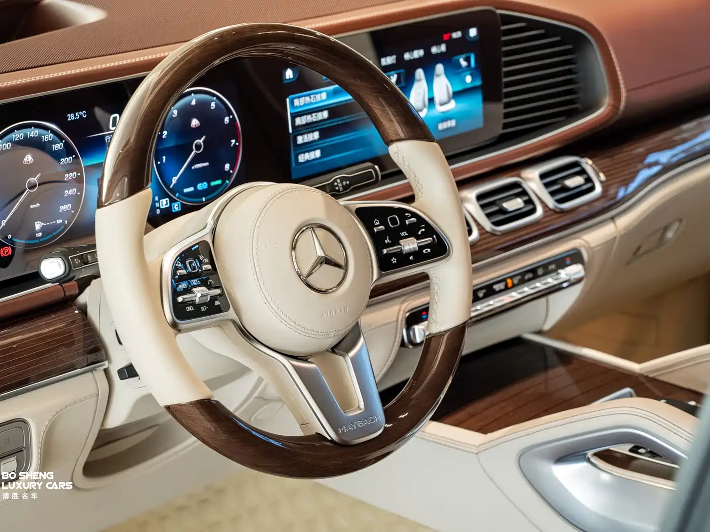 Mercedes-Benz Maybach GLS 2022 GLS 600 4MATIC Ceremony Edition фото 10