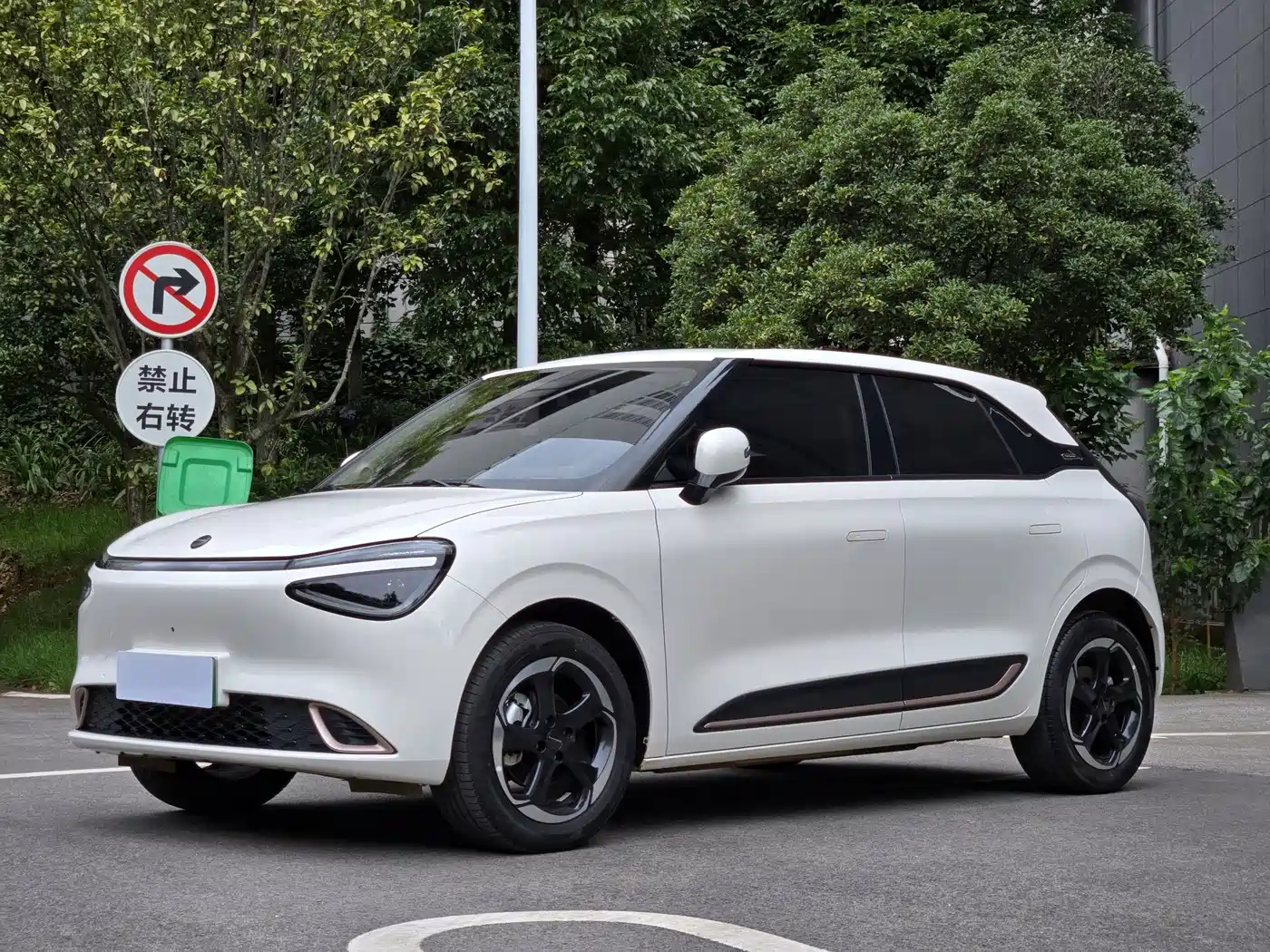 Dongfeng Yipai Nano 01 2024 2024 430 Plus