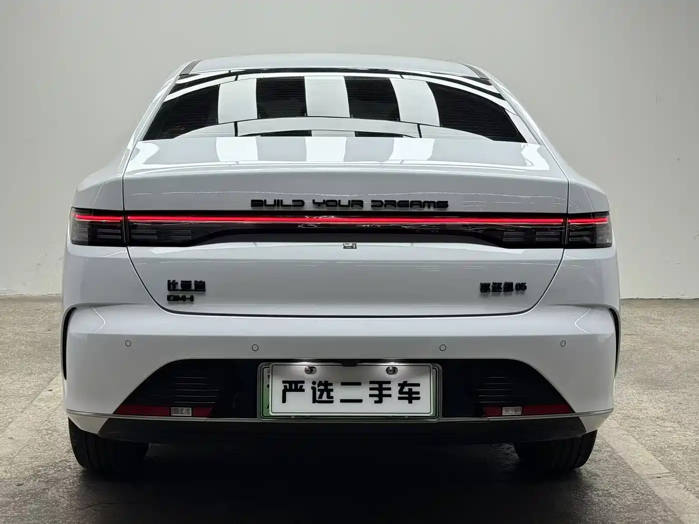 BYD Destroyer 05 2024 Glory Edition DM-i 55KM Luxury фото 4