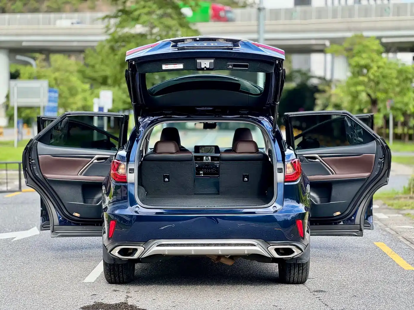 Lexus RX 2016 2016 300 2WD Comfort Edition China V