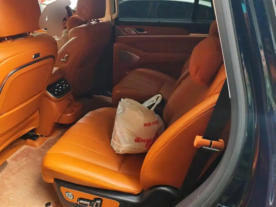 WEI PAI WEI BRAND BLUE MOUNTAIN