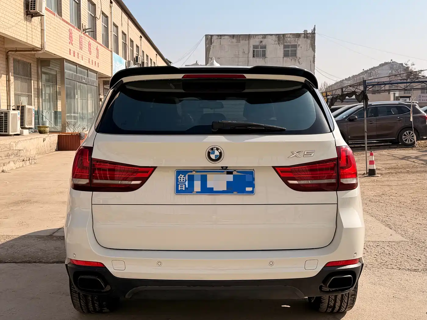 BMW X5 (Import) 2014 xDrive35i Leading фото 5