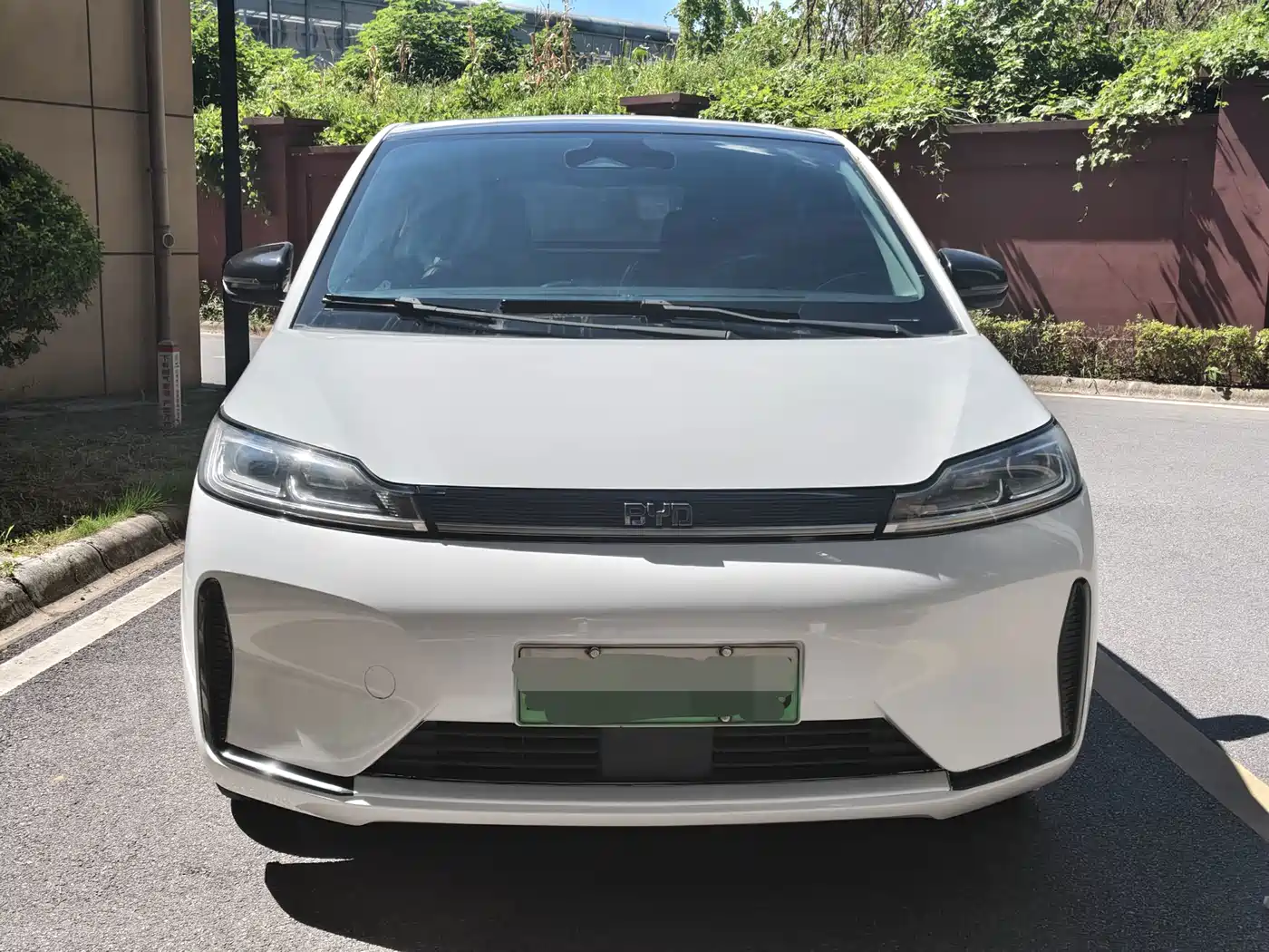 BYD D1 2020 2021 Pioneer Edition