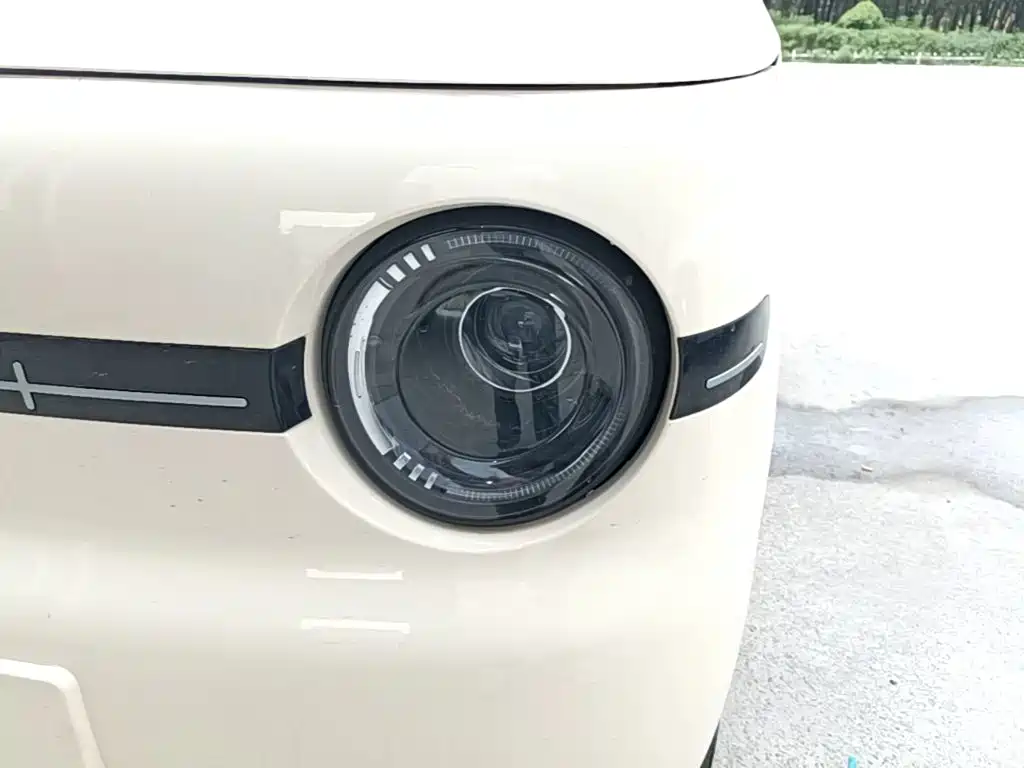 Geely Galaxy Panda 2026 2025 Panda mini 210km Vitality Bear