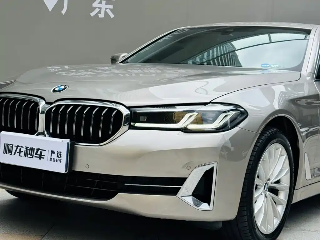 BMW 5 Series, миниатюра 19