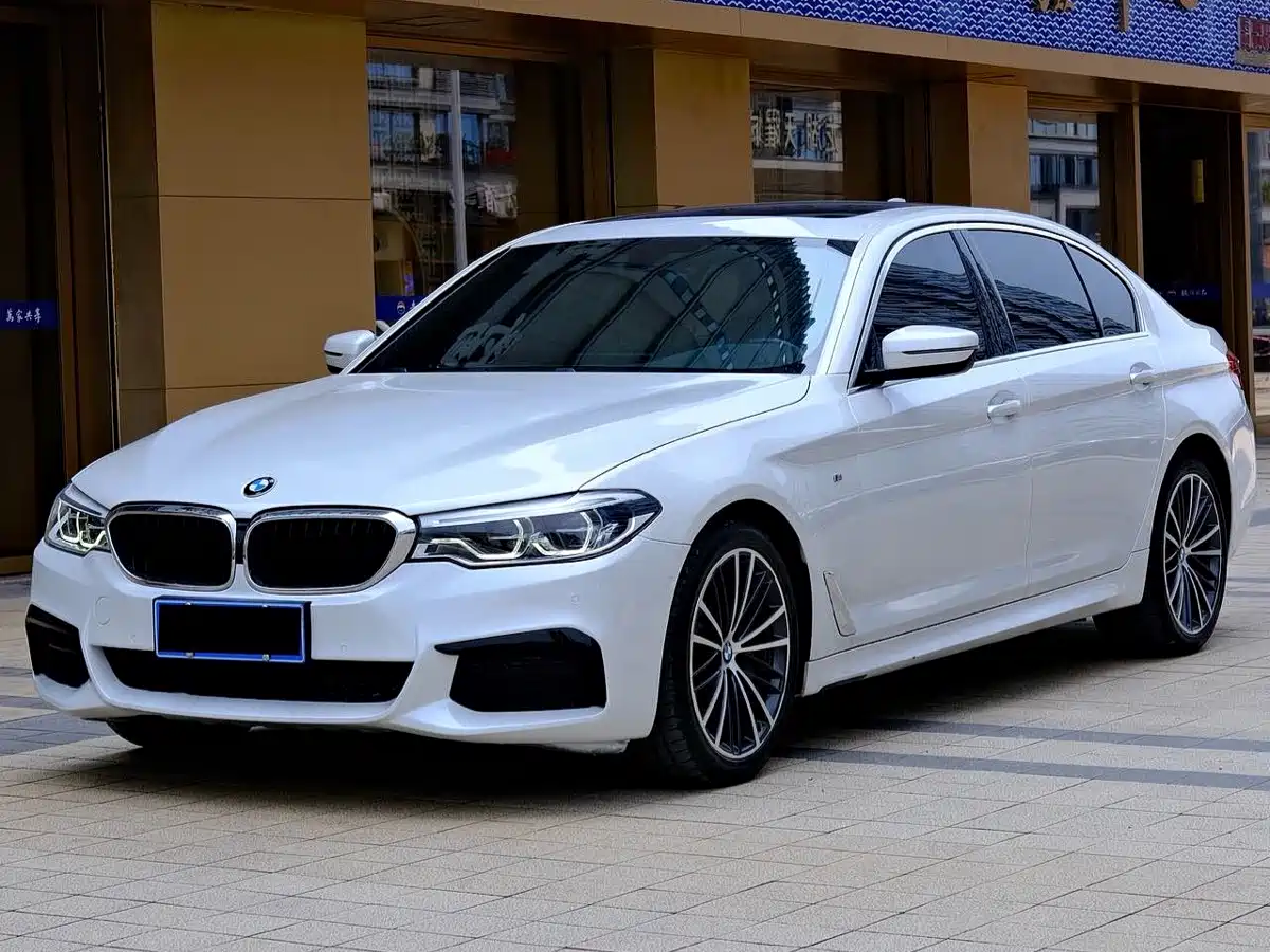 BMW 5 Series 2020 530Li Leading M Sport Package