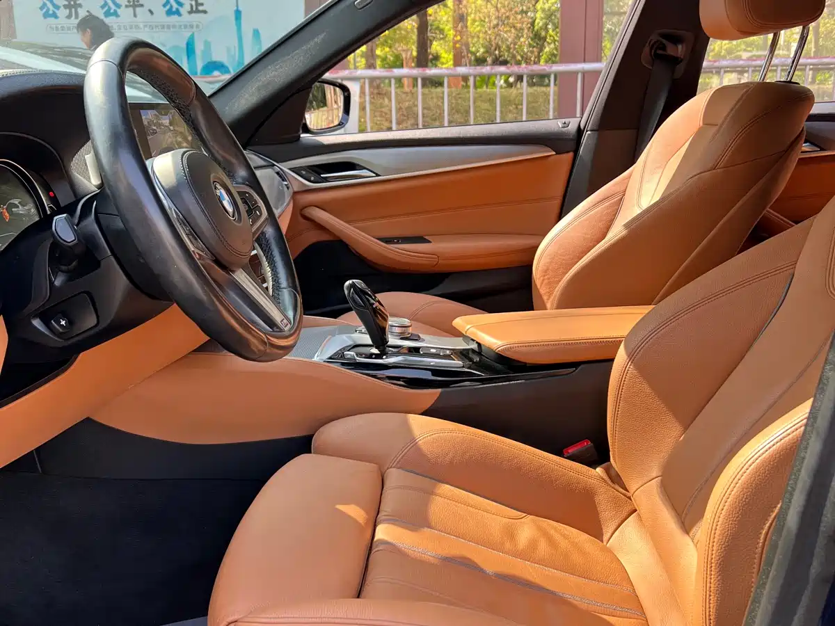 BMW 5 Series (Import) 2018 525i M Sport Package фото 12