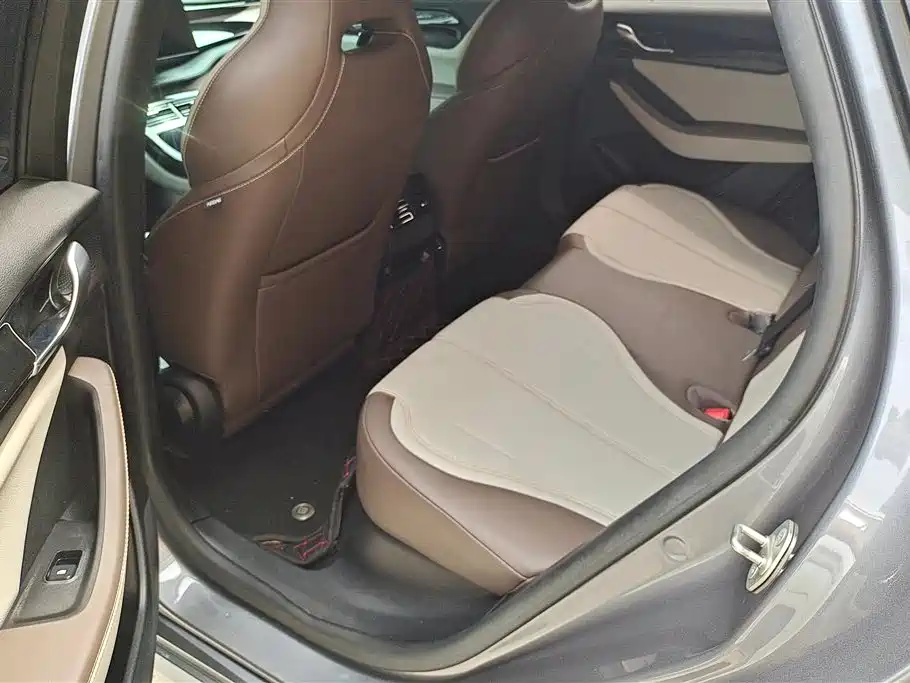 BYD Qin PLUS 2024 Glory Edition DM-i 55KM Leading фото 11