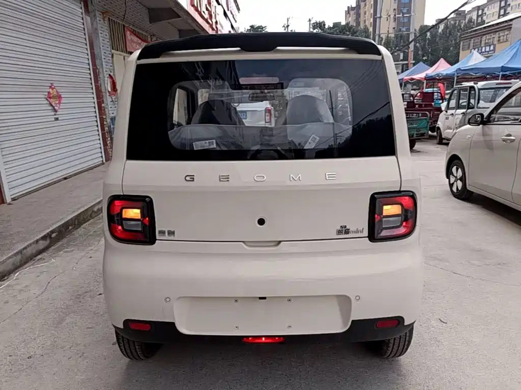 Geely Galaxy Panda 2026 2025 Panda mini 210km Vitality Bear