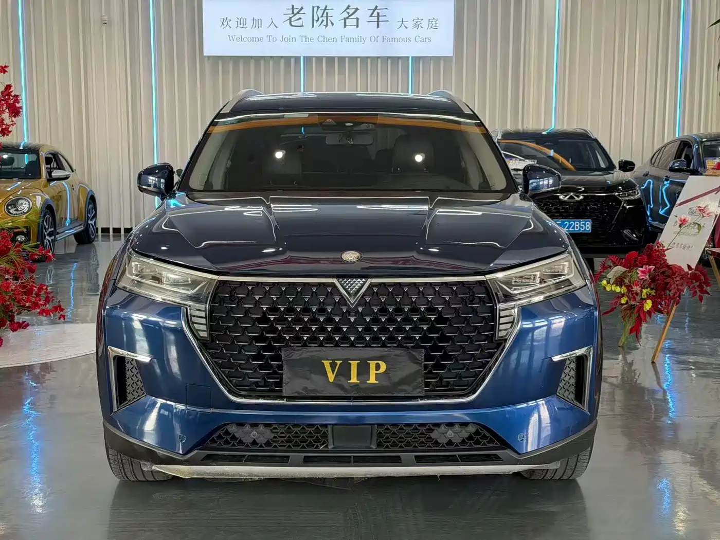 Venucia Star 2020 2020 260T Automatic 48V Mild Hybrid Turbo Starlight Edition