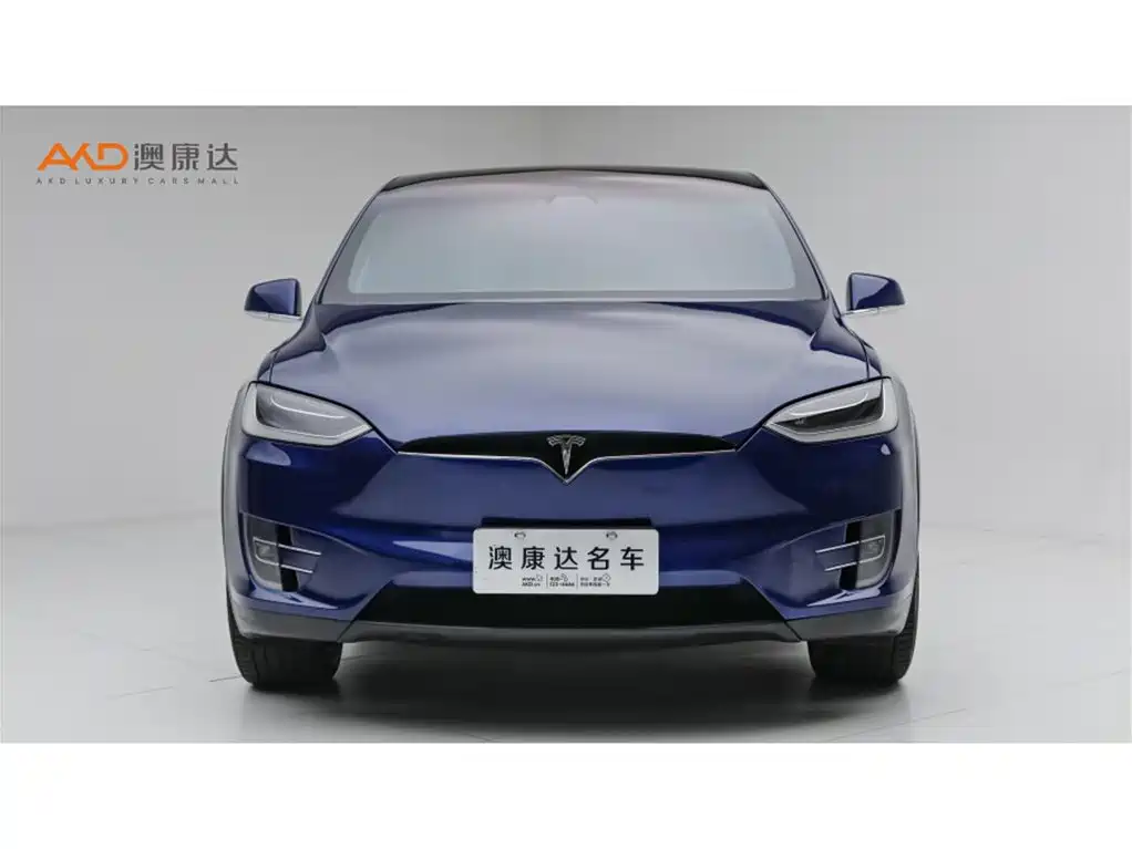 Фото 2 - Tesla Model X
