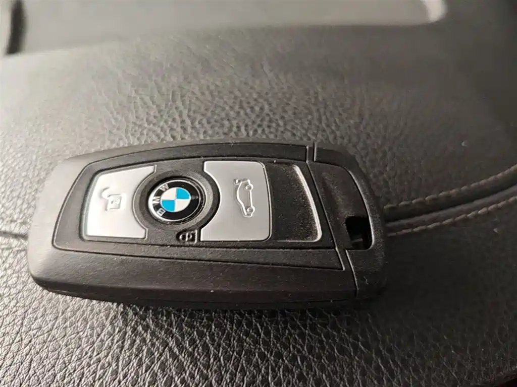 BMW 3 Series 2018 320Li Fashion Style фото 9