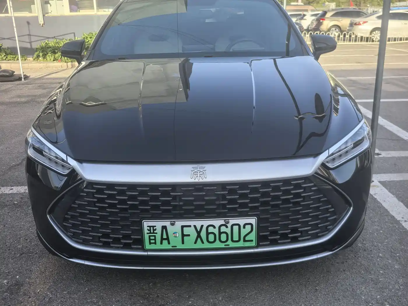 BYD Qin PLUS 2023 Champion Edition DM-i 55KM Leading