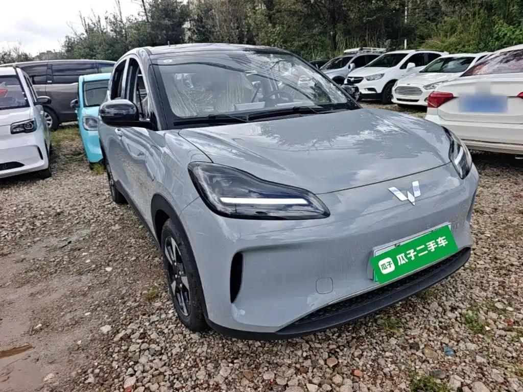 Wuling Motors Wuling Binguo PLUS 2026 2024 510km Range 5-seater