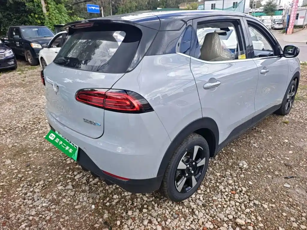 Wuling Motors Wuling Binguo PLUS 2026 2024 510km Range 5-seater