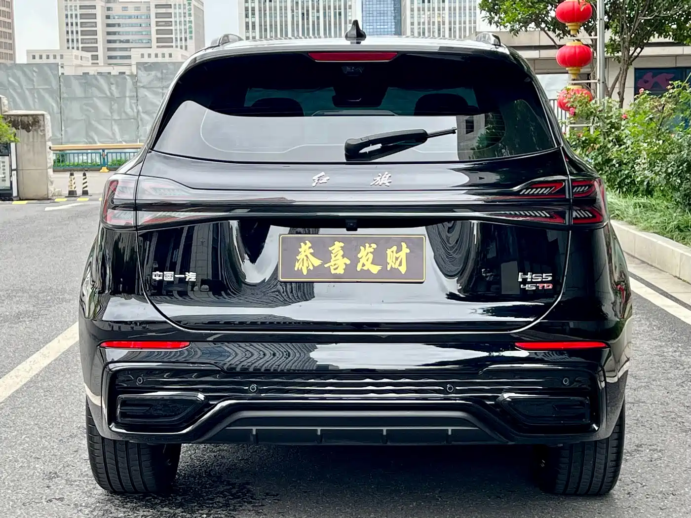 Hongqi HS5 2025 2.0T 2WD Mystic Shadow Edition фото 8
