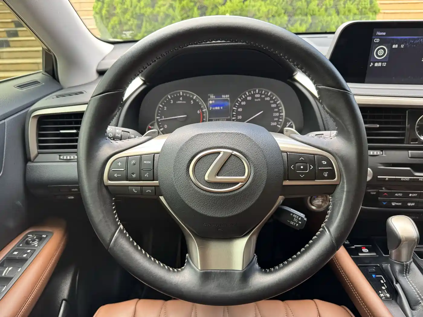 LEXUS RX