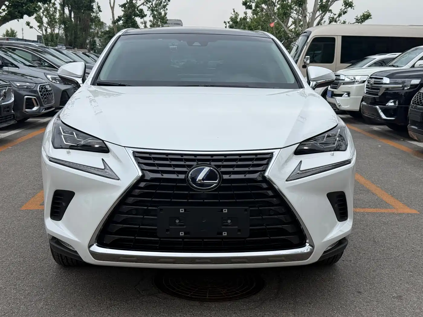 Lexus NX 2018 Model 300h AWD Fengzhi Edition China V фото 2