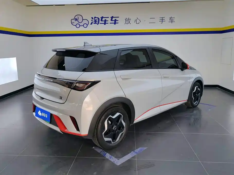 BYD Dolphin 2021 Model 405km Fashion Edition фото 3
