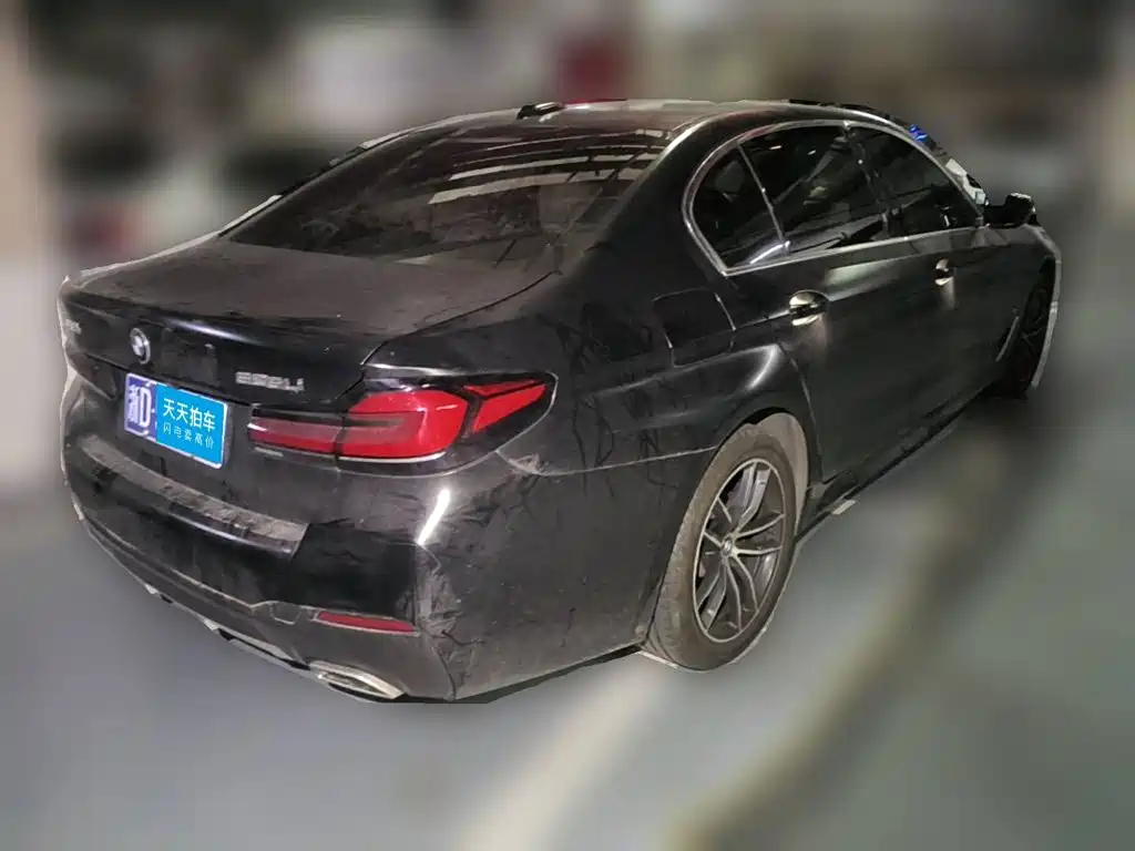 BMW 5 Series, миниатюра 2
