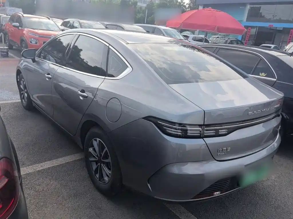 BYD Destroyer 05 2023 Champion Edition DM-i 55KM Luxury фото 5