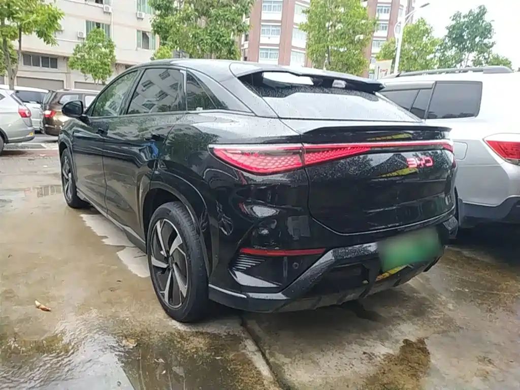 BYD Sealion 07 EV 2024 610 Long Range Edition фото 5