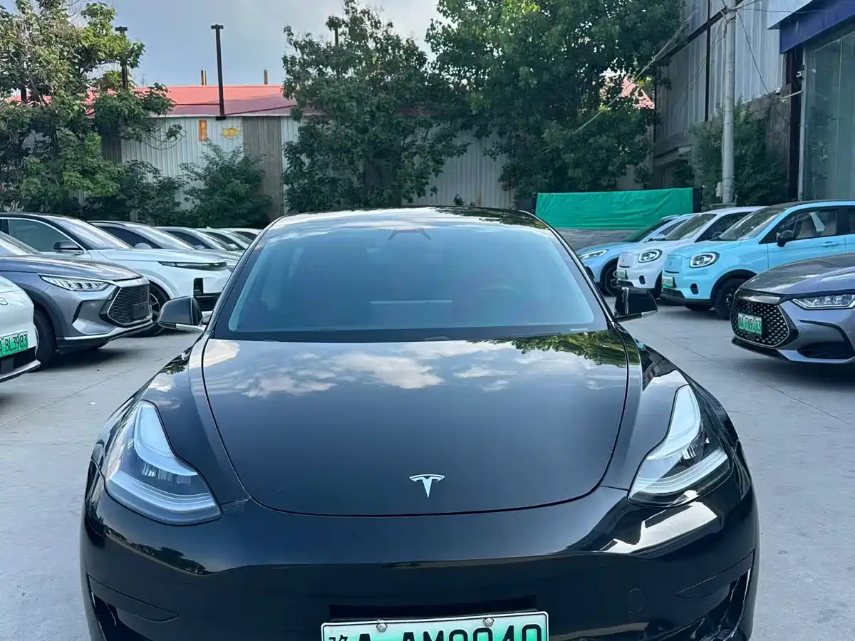 Tesla Model 3 2020 Standard Range Rear-Wheel Drive Upgrade