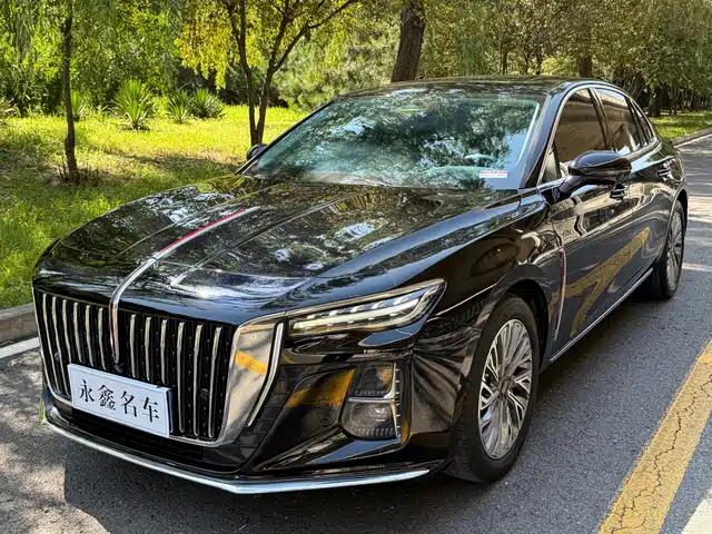  Hongqi Hongqi H5 2023 2.0T Auto Smart Connect Flag Enjoy