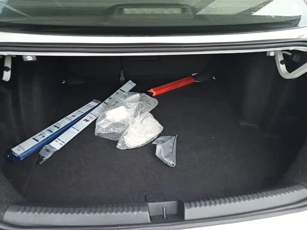 Volkswagen Sagitar 2018 1.6L Automatic Comfort фото 15