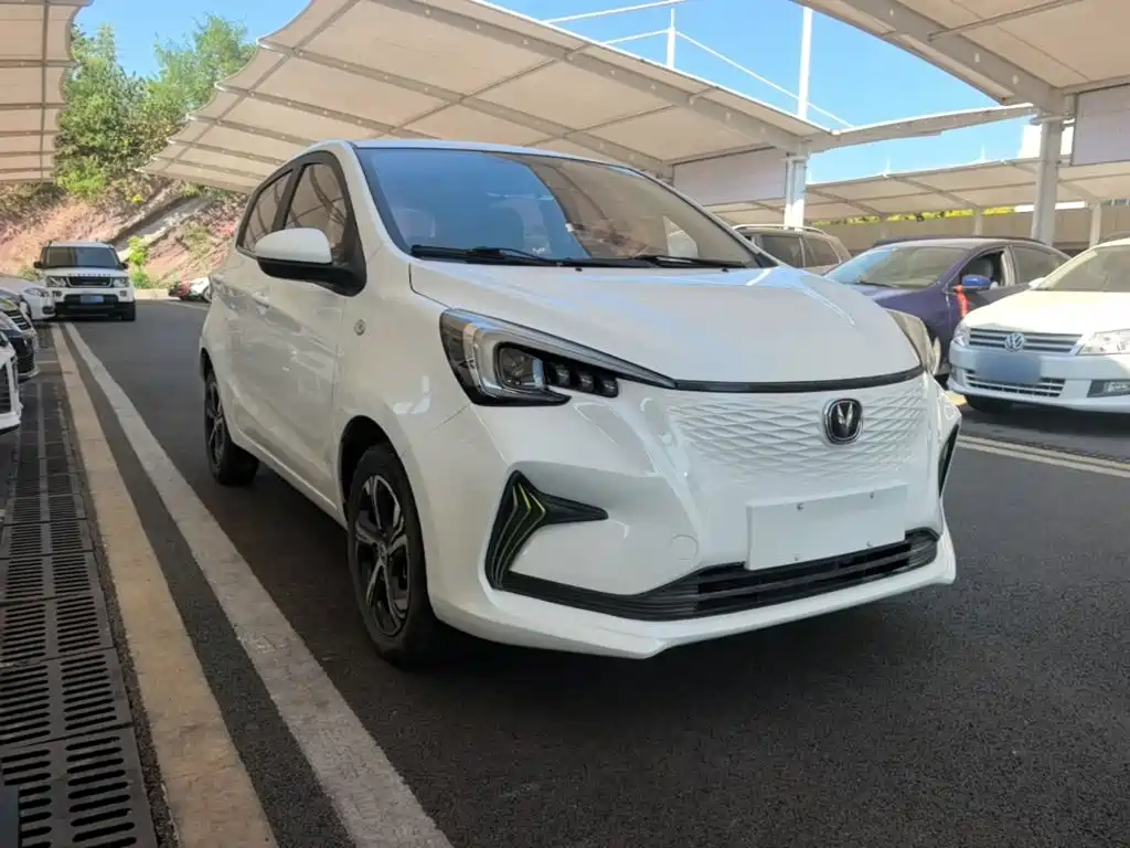 Photo 4 - Changan Benben E-Star