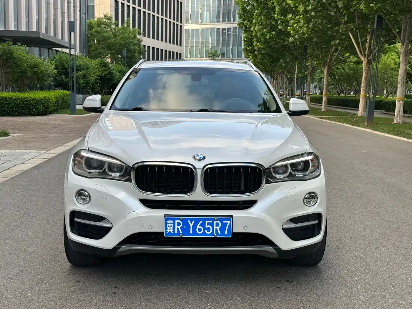 BMW X6 2015 xDrive35i Leading Type фото 2