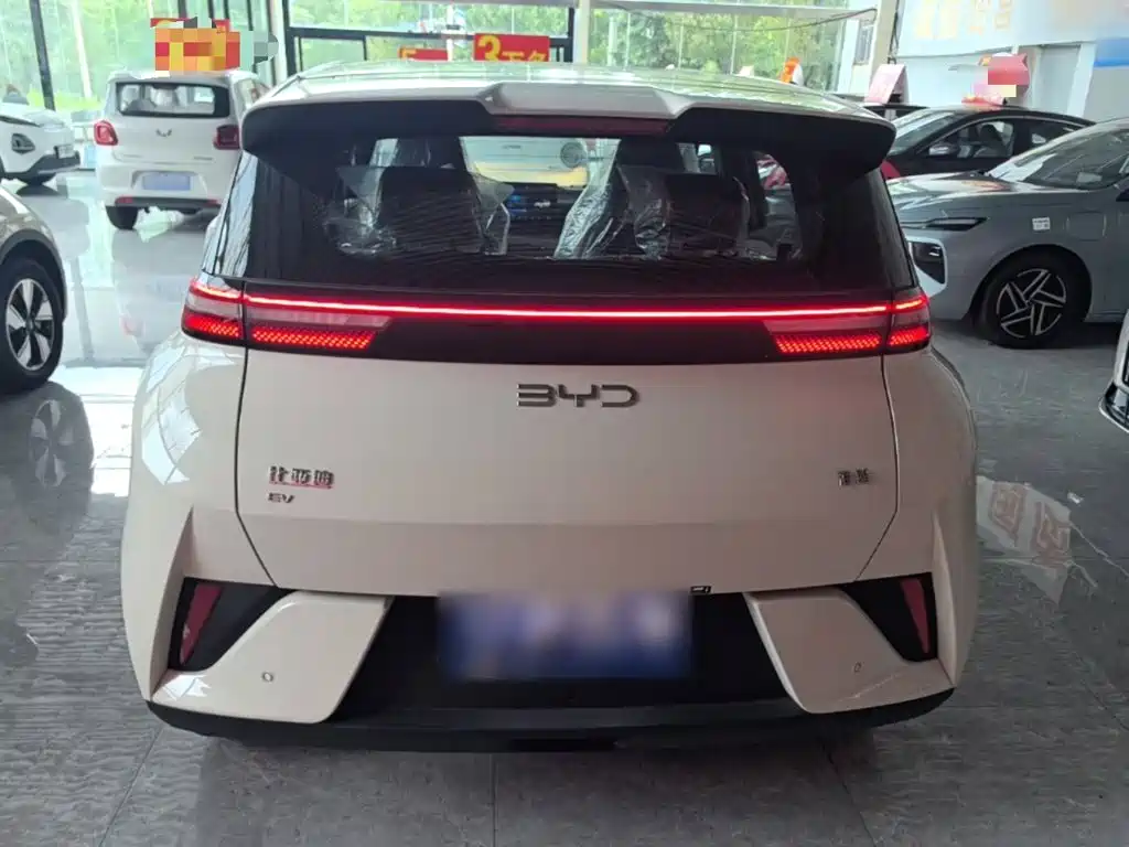 BYD Seagull 2026 2025 Smart Drive Edition 305km Vitality Version