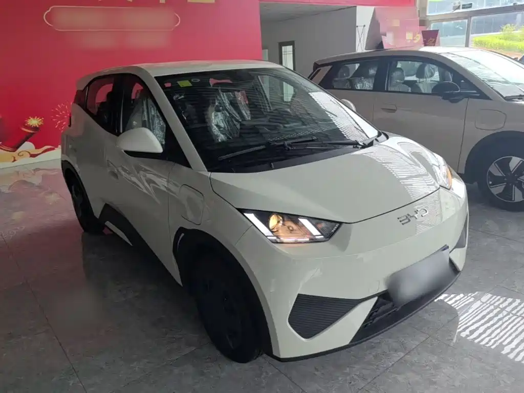 BYD Seagull 2026 2025 Smart Drive Edition 305km Vitality Version