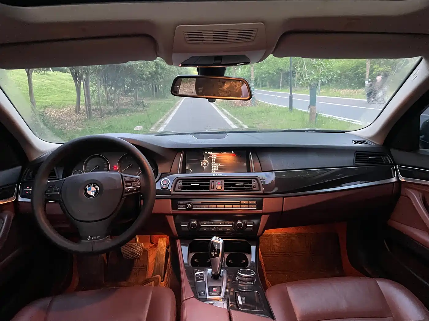BMW 5 Series 2014 520Li Elegance фото 5