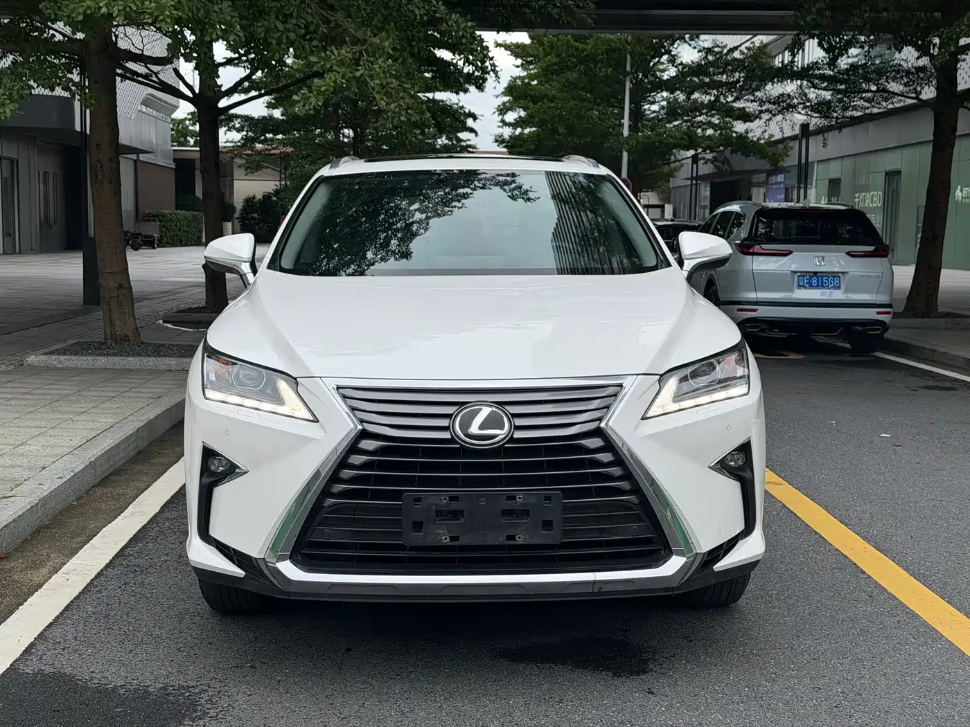 Lexus RX 2016 300 2WD Elite Edition (China V) фото 2