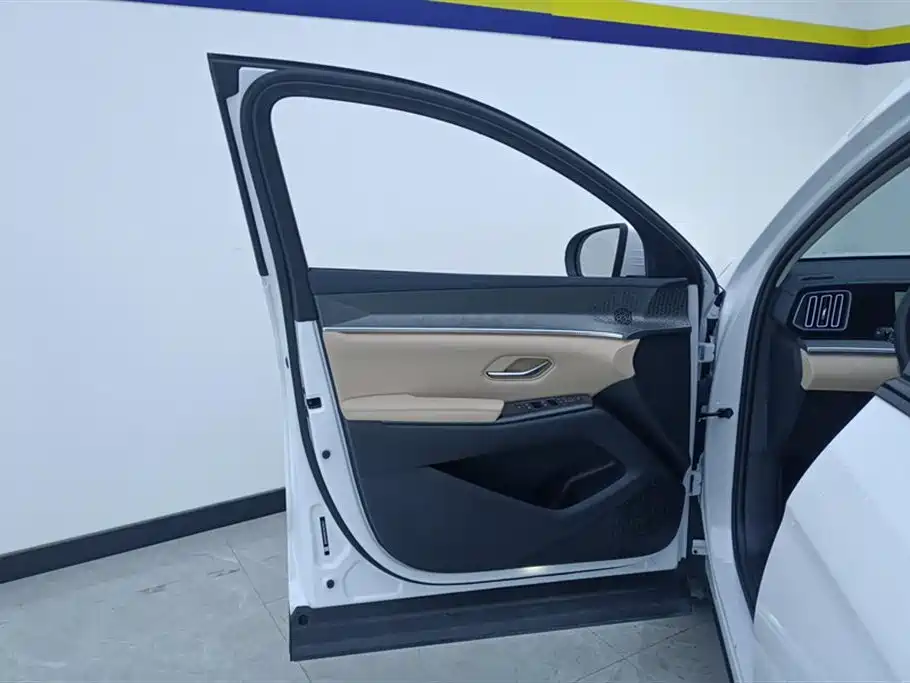 BYD SONGJIANG NEW ENERGY