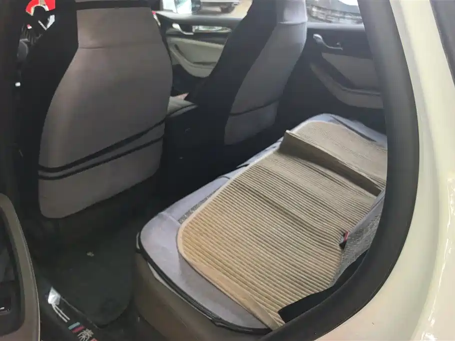 BYD Qin PLUS 2023 Champion Edition DM-i 55KM Leading фото 11