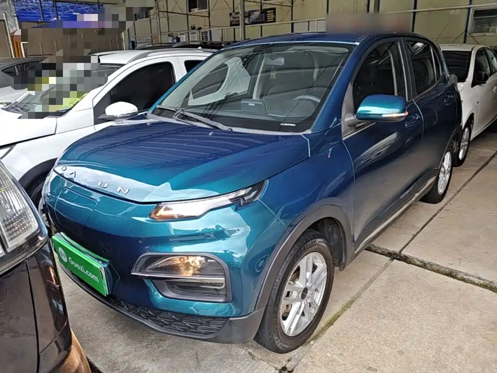 Dayun Yuehu 2022 2022 30.66kWh 2WD Standard Edition