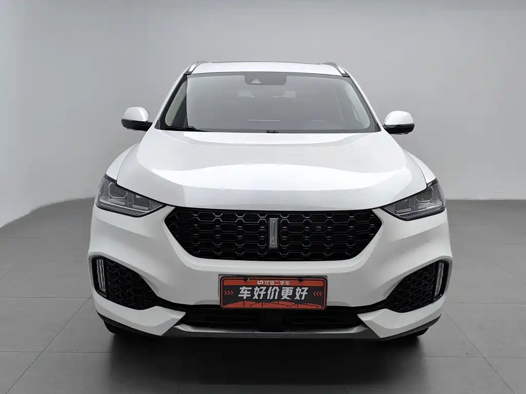 Фото 3 - WEY VV6