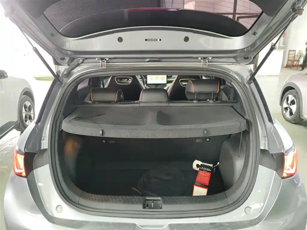BYD Dolphin 2021 Model 405km Fashion Edition фото 15