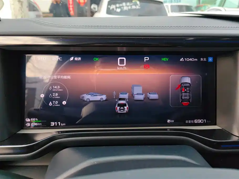 FANG CHENG BAO LEOPARD 5