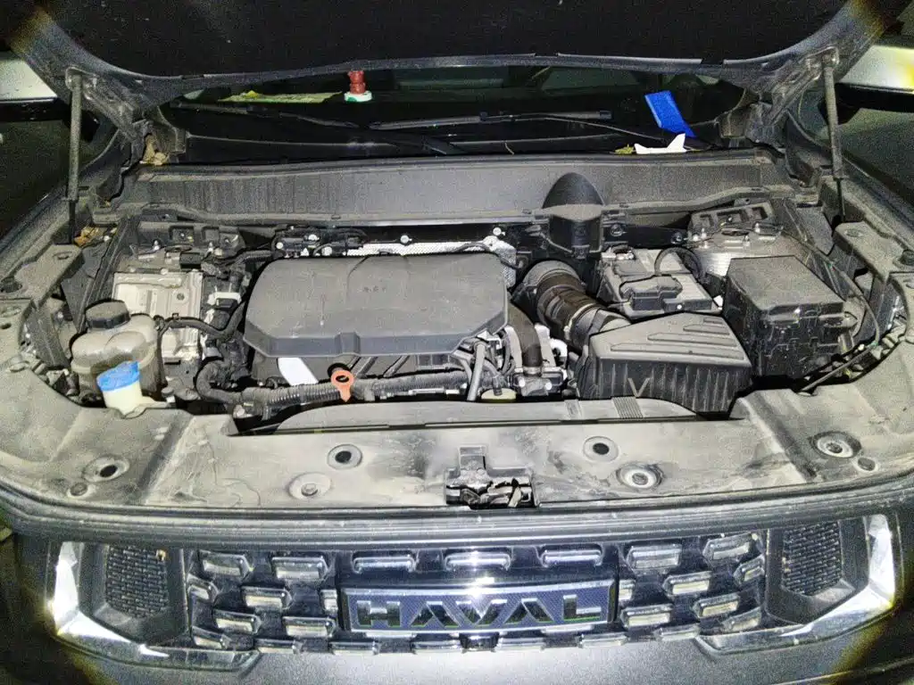 Haval Da Gou 2nd Gen 2024 2023 2.0T 2WD Trendy Off-road Edition Plus