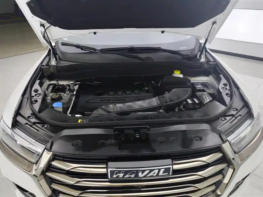 Haval H6 2021 Model National Trend Edition 1.5T Auto Champion фото 10