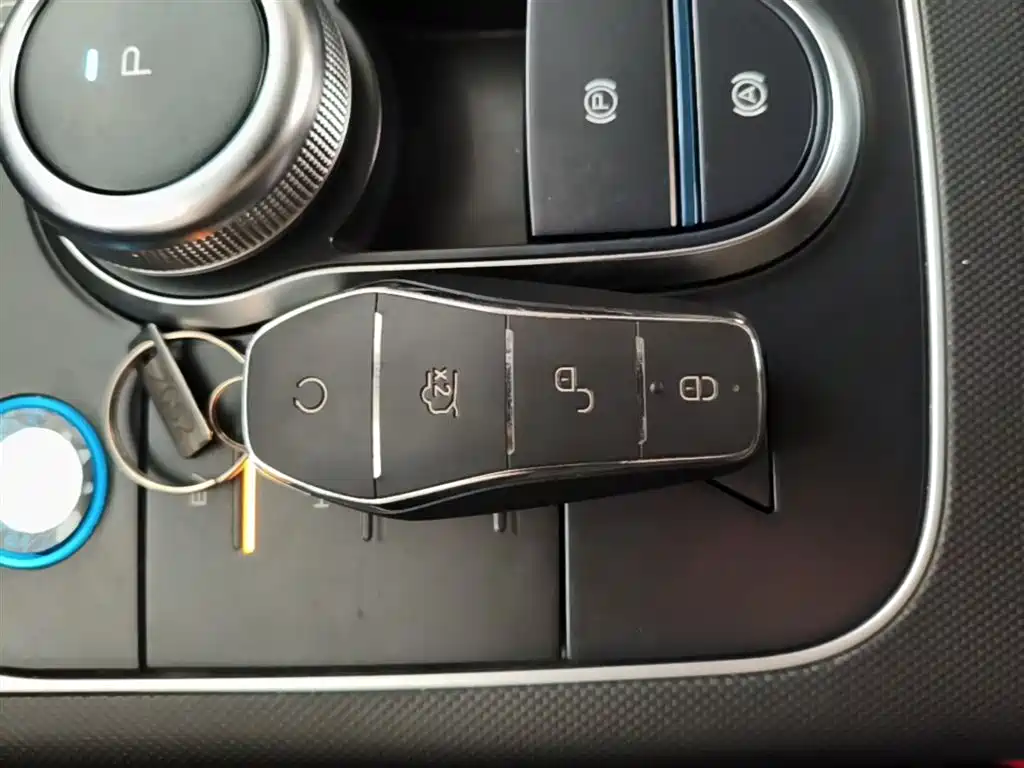 BYD Destroyer 05 2024 Glory Edition DM-i 55KM Luxury фото 9