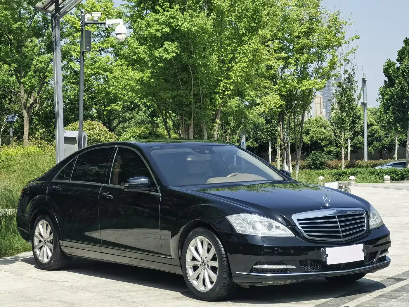 Mercedes-Benz S-Class 2010 S 300 L Luxury фото 3