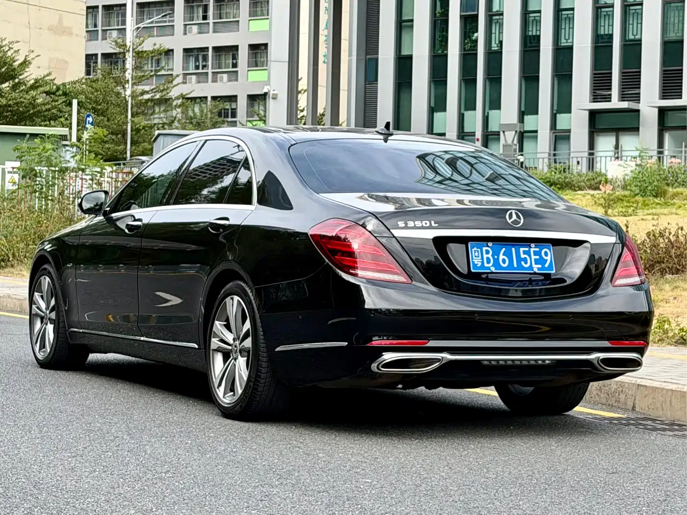 Mercedes-Benz S-Class 2020 S 350 L Premium Edition Collector's Version фото 4