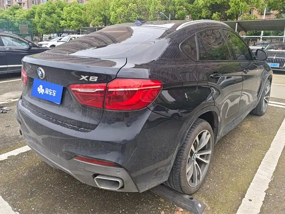 BMW X6