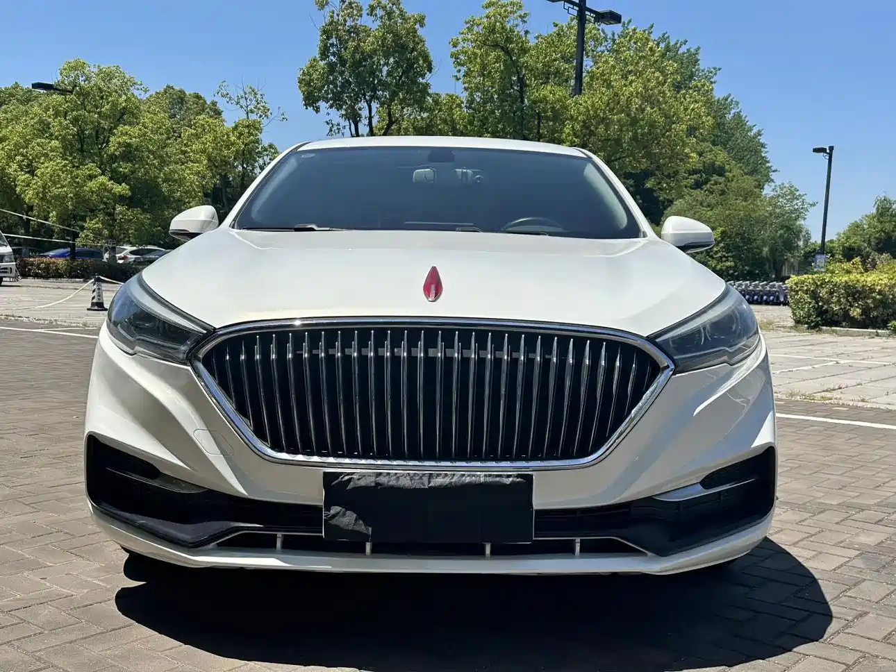 Hongqi H5 2019 30TD Style Edition фото 2
