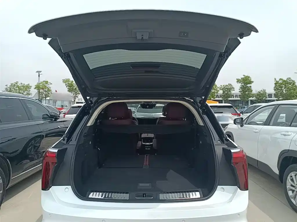 Hongqi E-HS9 2022 690km Qi Xiang Edition (6-seater) фото 19