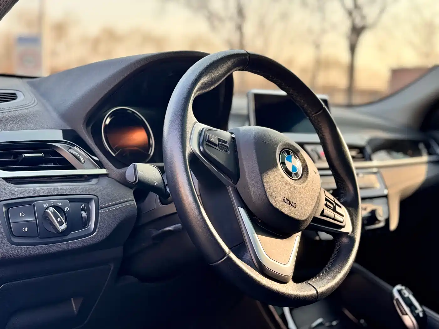 BMW X2 (Import) 2019 sDrive20i M Off-Road Package China VI фото 7